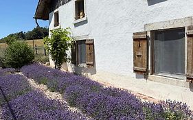 La Ferme De La Gaby